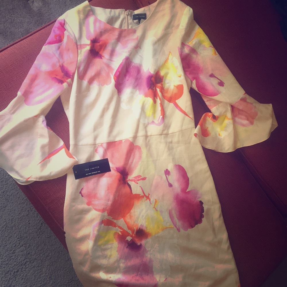 BNWT gorgeous floral limited dress.